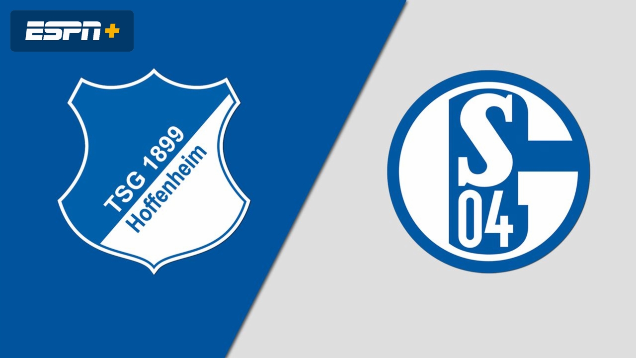 TSG Hoffenheim vs. FC Schalke 04 (Bundesliga)