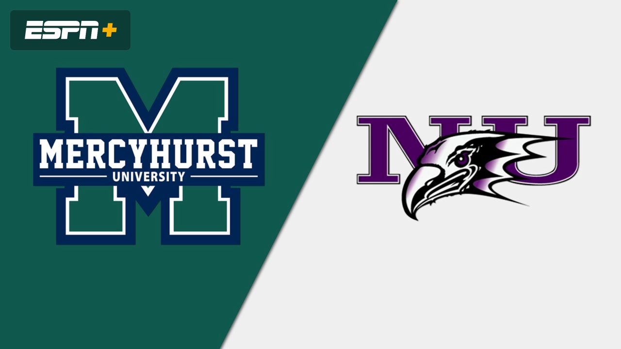 Mercyhurst vs. Niagara