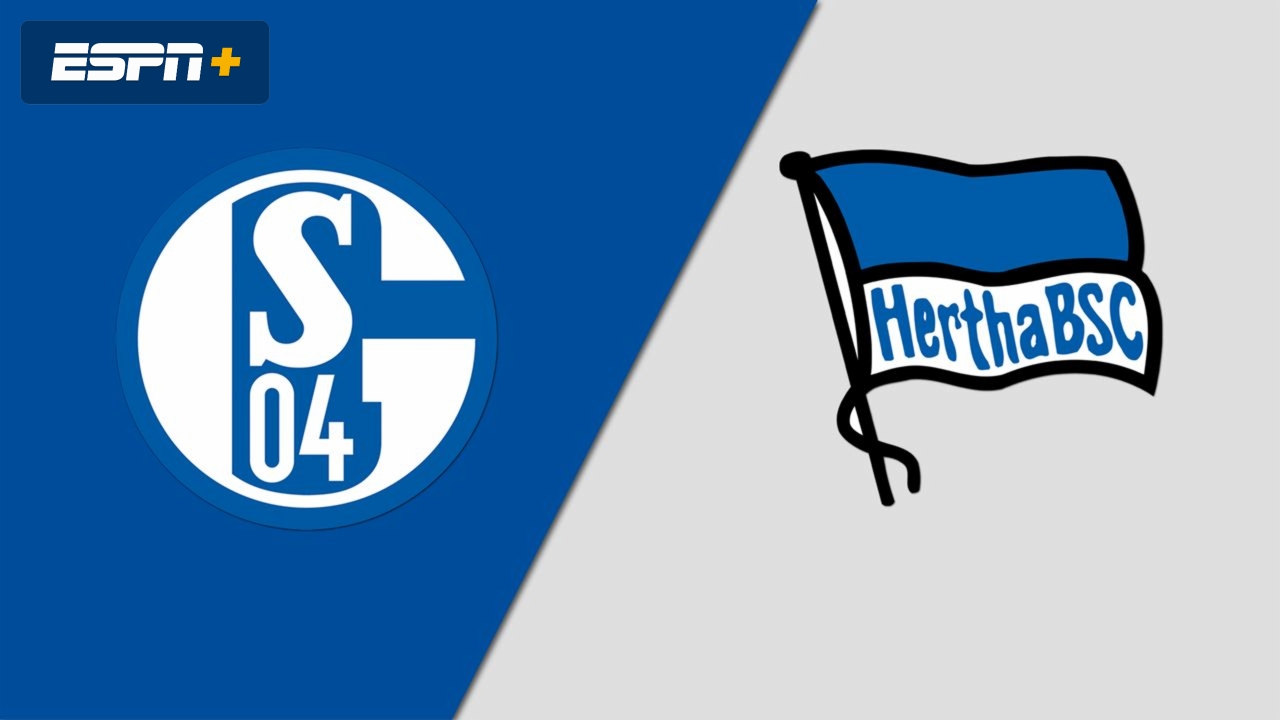 FC Schalke 04 vs. Hertha BSC (Bundesliga)