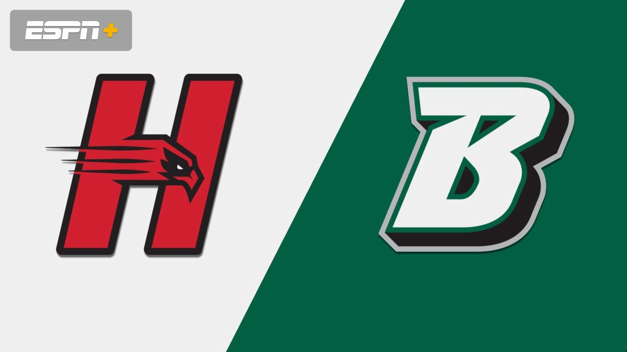Hartford vs. Binghamton (M Basketball)