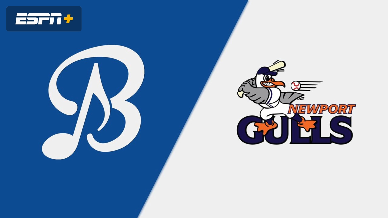 Bristol Blues vs. Newport Gulls