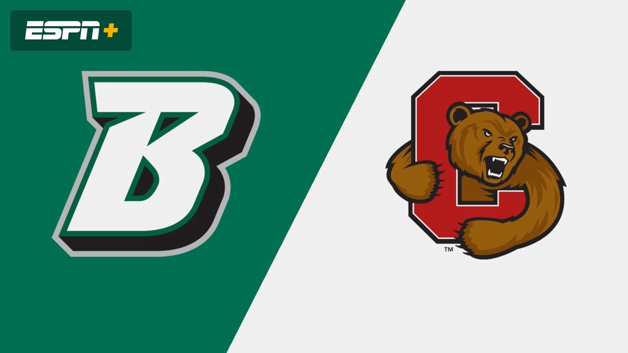 Binghamton vs. Cornell (W Soccer)