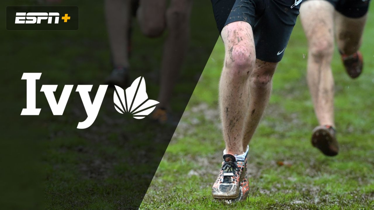 Ivy Cross Country Championship (Championship)