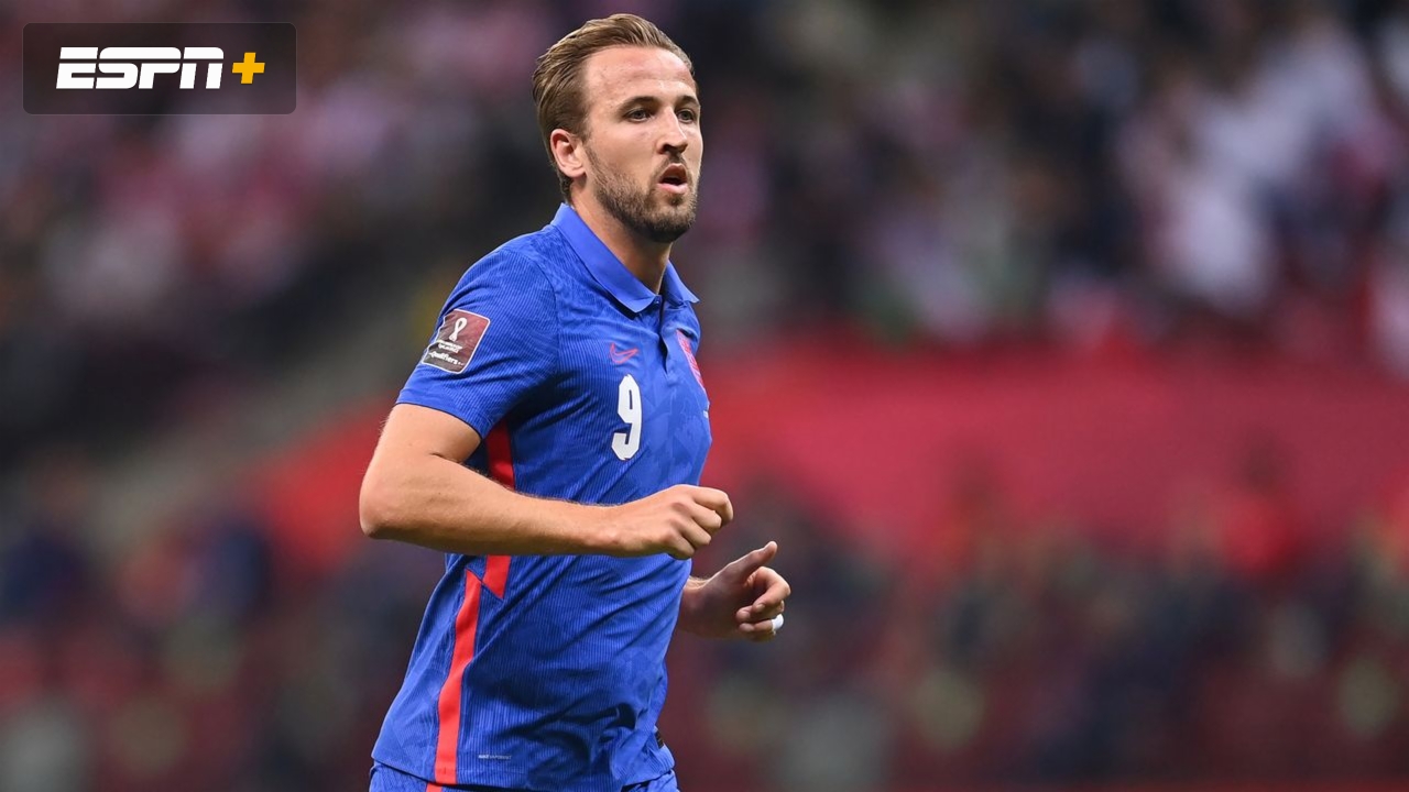 England vs. Hungary (FIFA World Cup Qualifier)