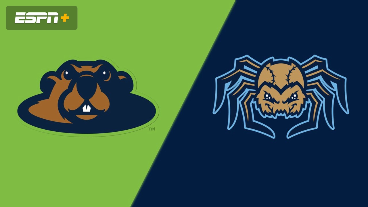 Wausau Woodchucks vs. Fond du Lac Dock Spiders