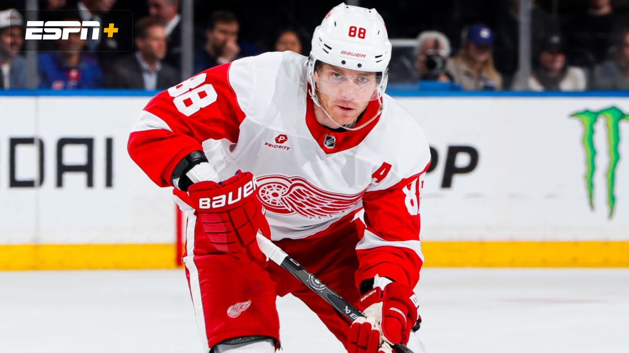 Detroit Red Wings vs. New York Islanders