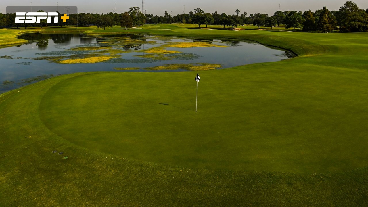 Texas Children's Houston Open: Featured Hole #17 (Final Round)