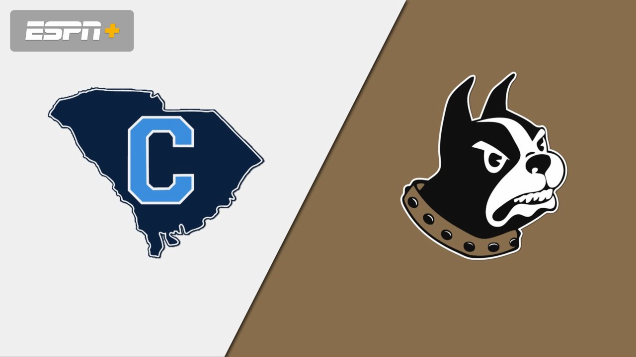 The Citadel vs. Wofford (Baseball)