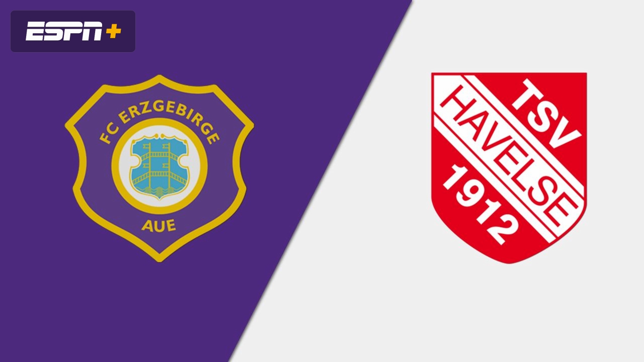 FC Erzgebirge Aue vs. TSV Havelse