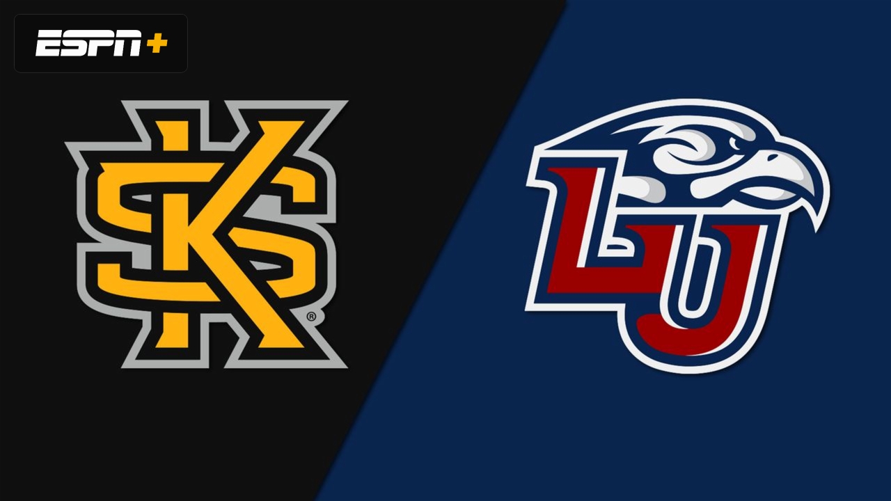Kennesaw State vs. Liberty (W Volleyball)