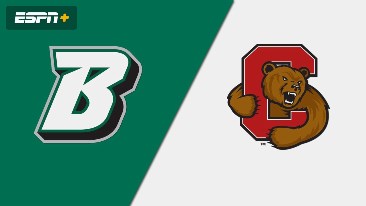 Binghamton vs. Cornell (Wrestling)