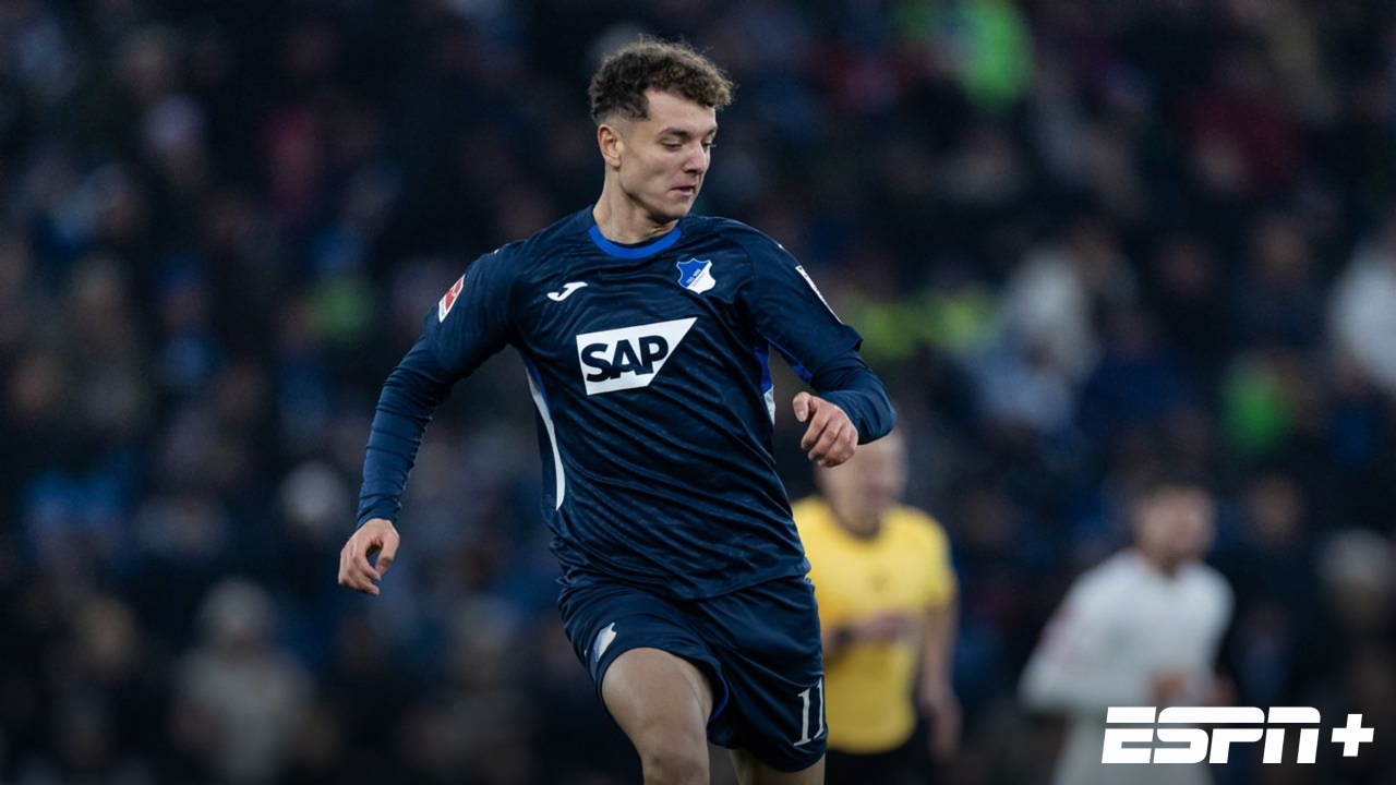 VfB Stuttgart vs. TSG Hoffenheim
