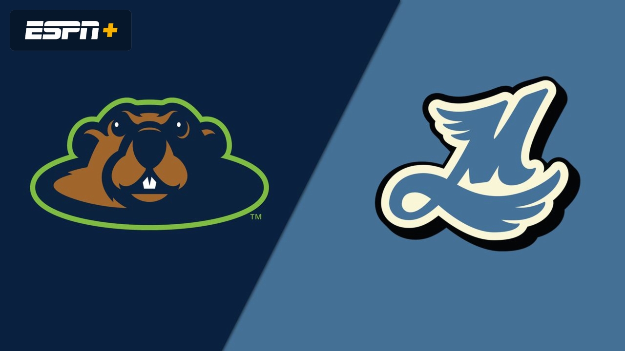 Wausau Woodchucks vs. Madison Mallards