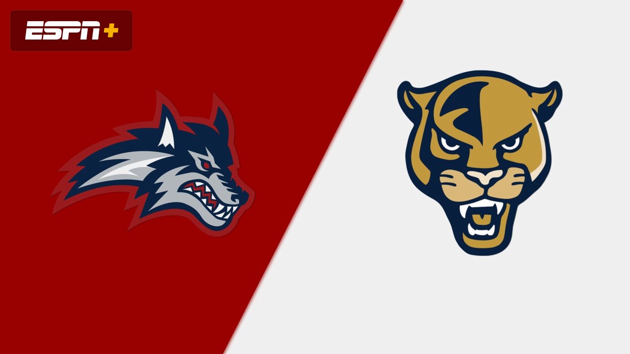 Stony Brook vs. Florida International