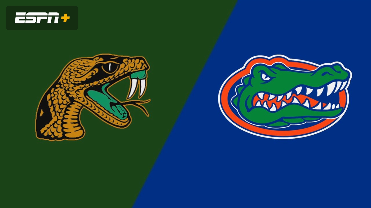 Florida A&M vs. #2 Florida (Site 2 / Game 2) (NCAA Baseball Championship)