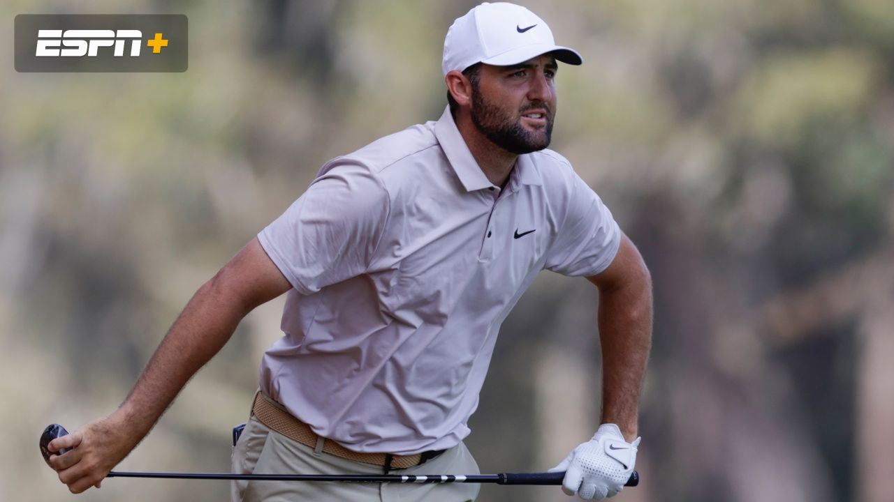 THE PLAYERS Championship: Scheffler Featured Group (Final Round)