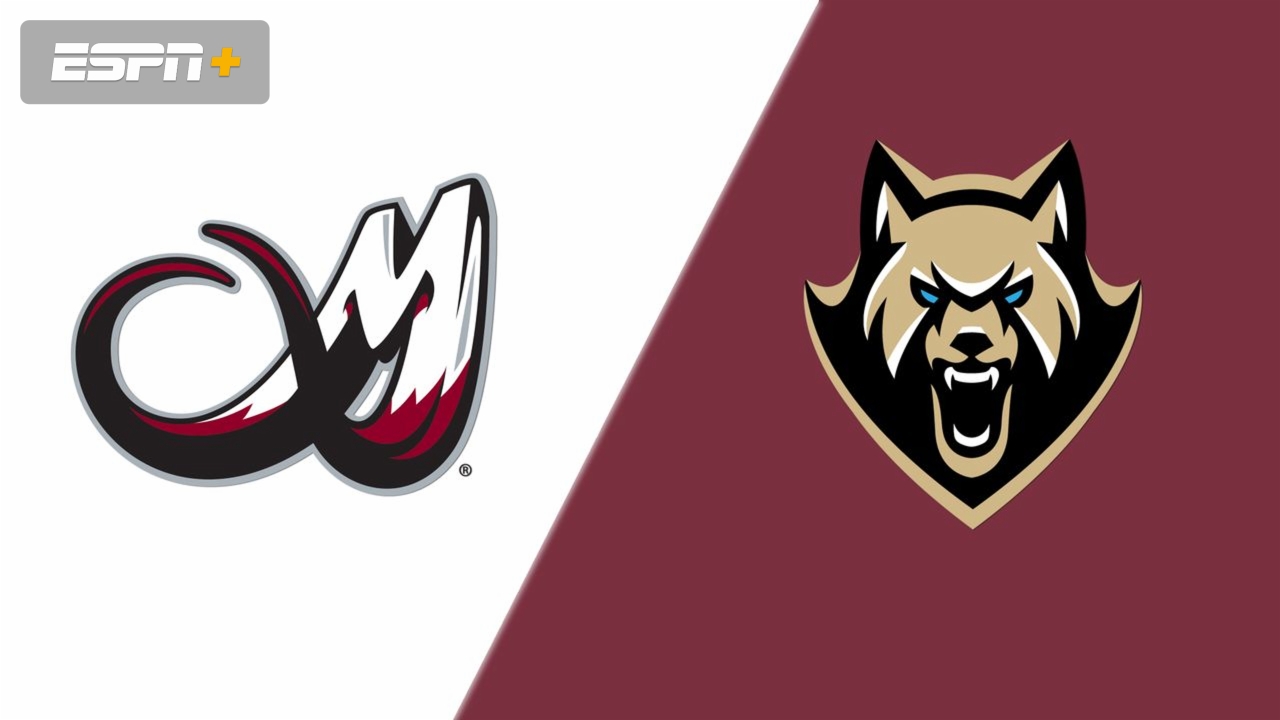Colorado Mammoth vs. Albany FireWolves