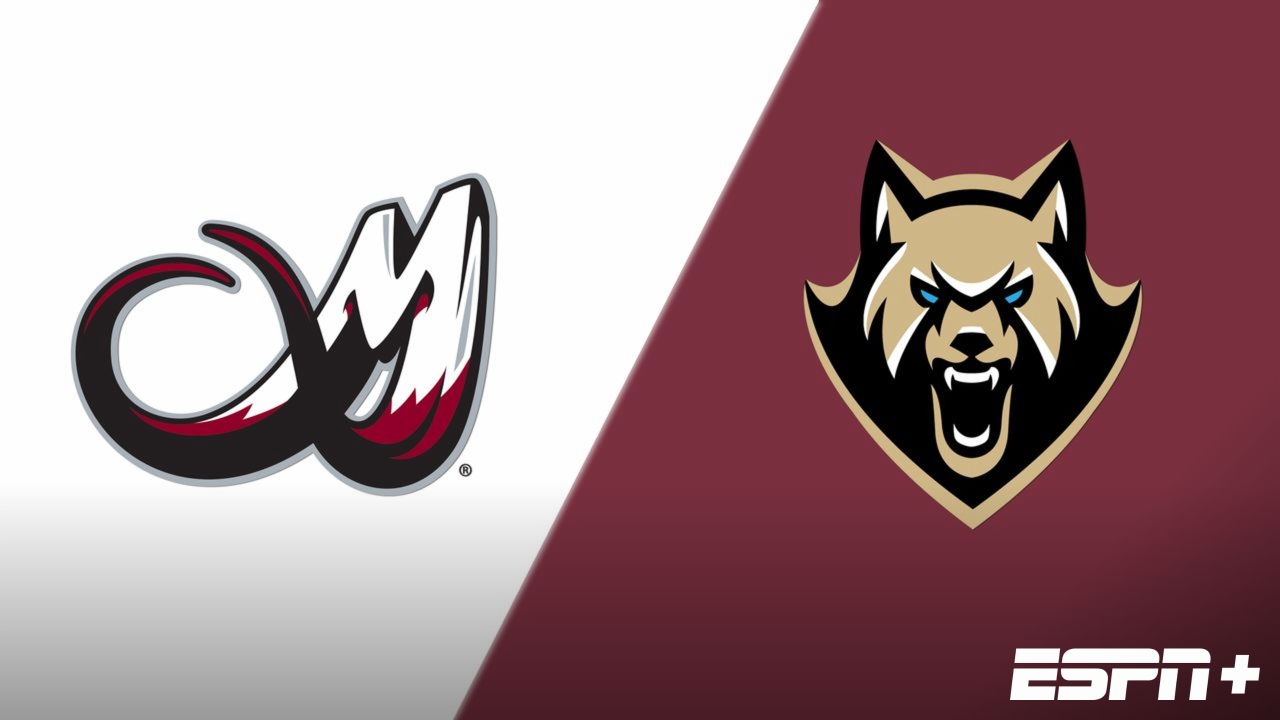 Colorado Mammoth vs. Albany FireWolves