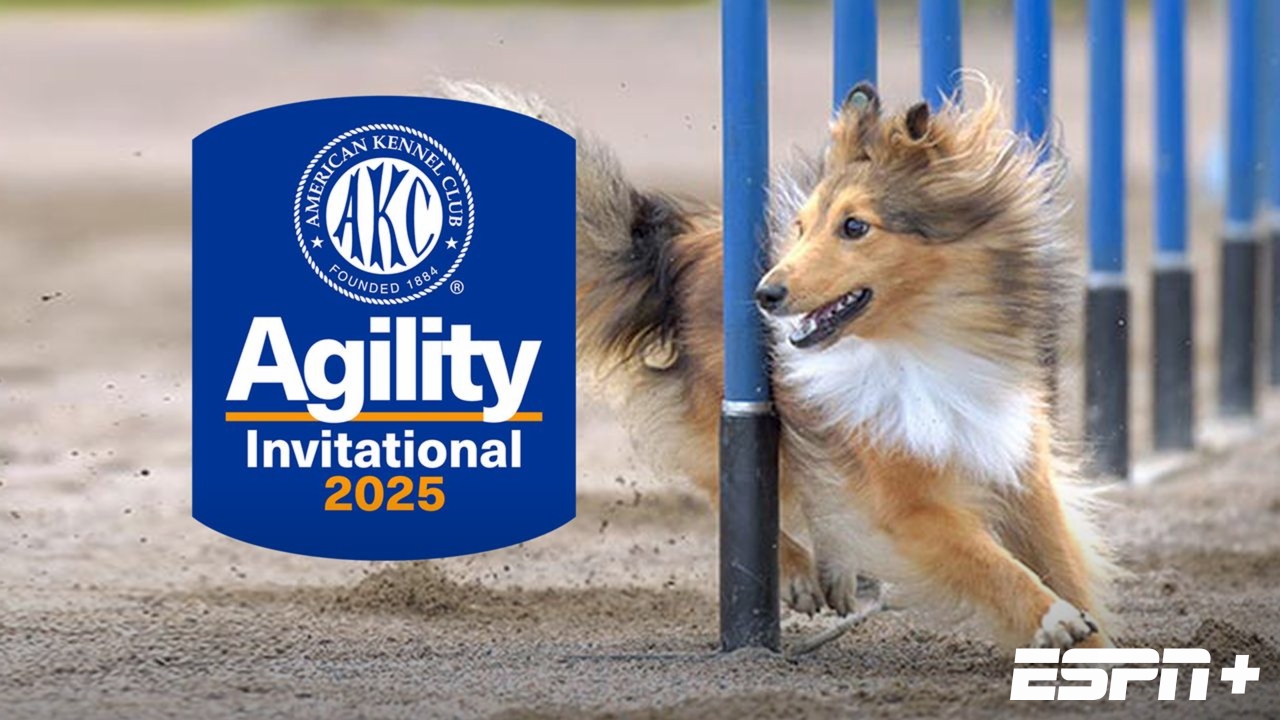 AKC Agility Invitational