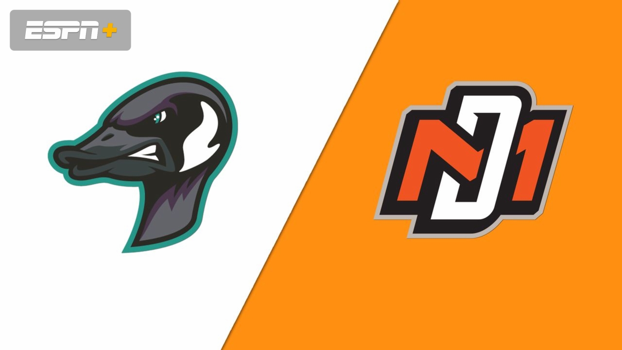 Rochester Honkers vs. Mankato MoonDogs