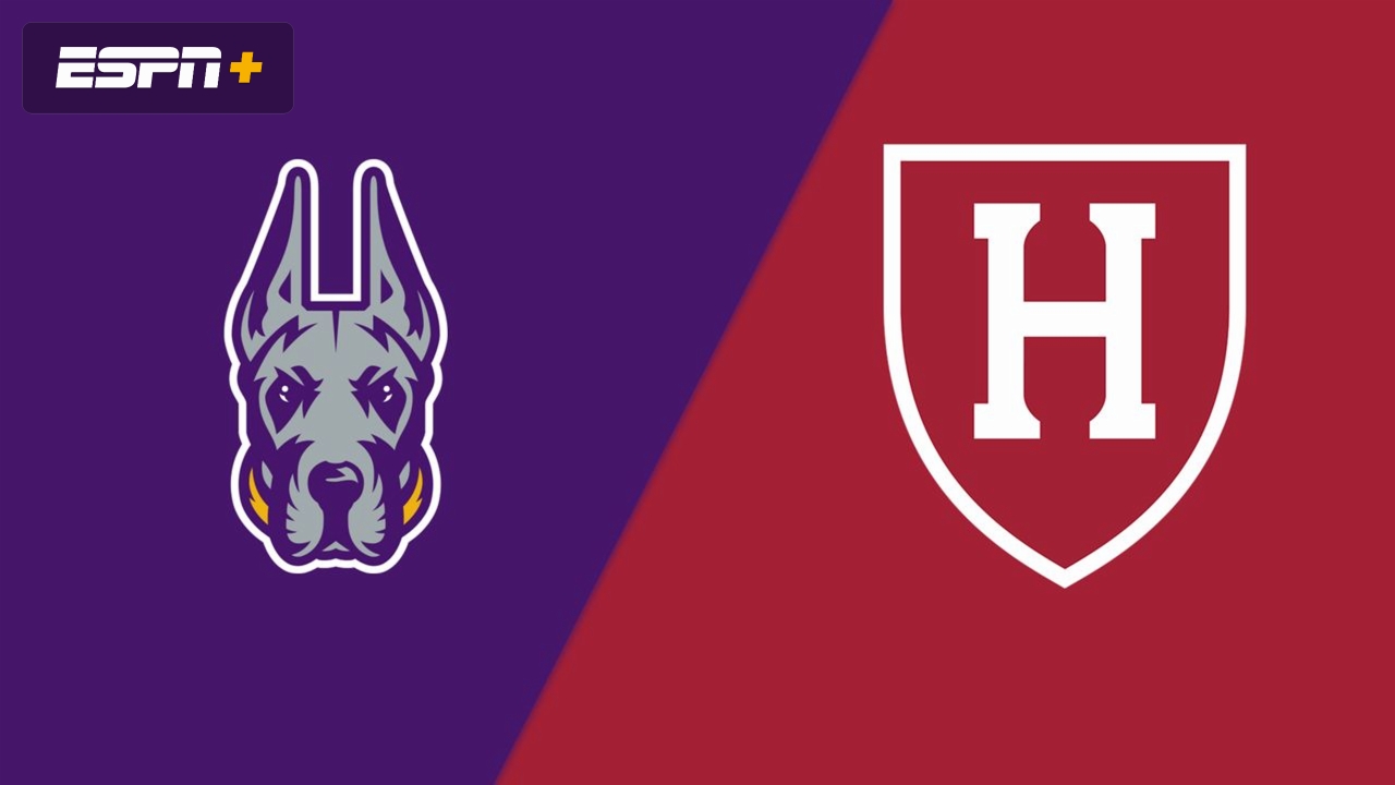 UAlbany vs. Harvard