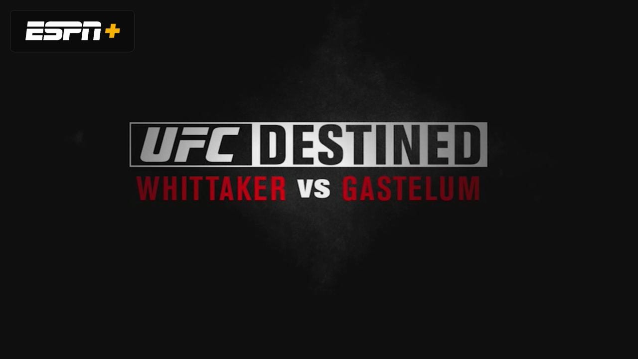 UFC Destined: Whittaker vs. Gastelum (Part 2)