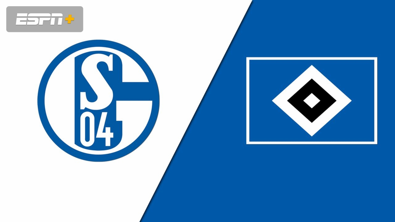 FC Schalke 04 vs. Hamburger SV (2. Bundesliga)