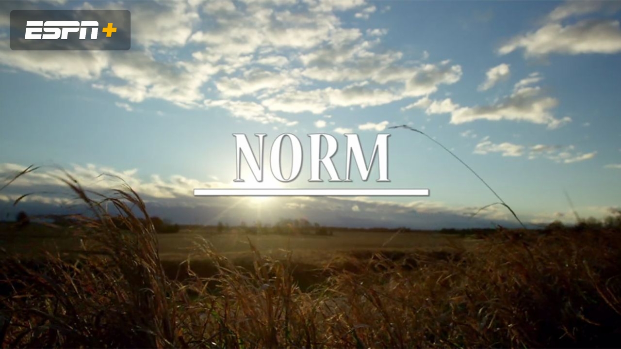 Norm