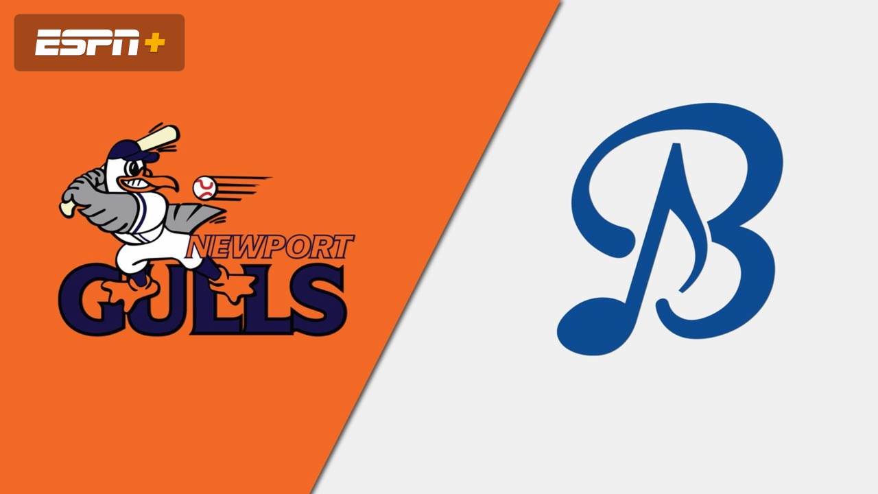 Newport Gulls vs. Bristol Blues