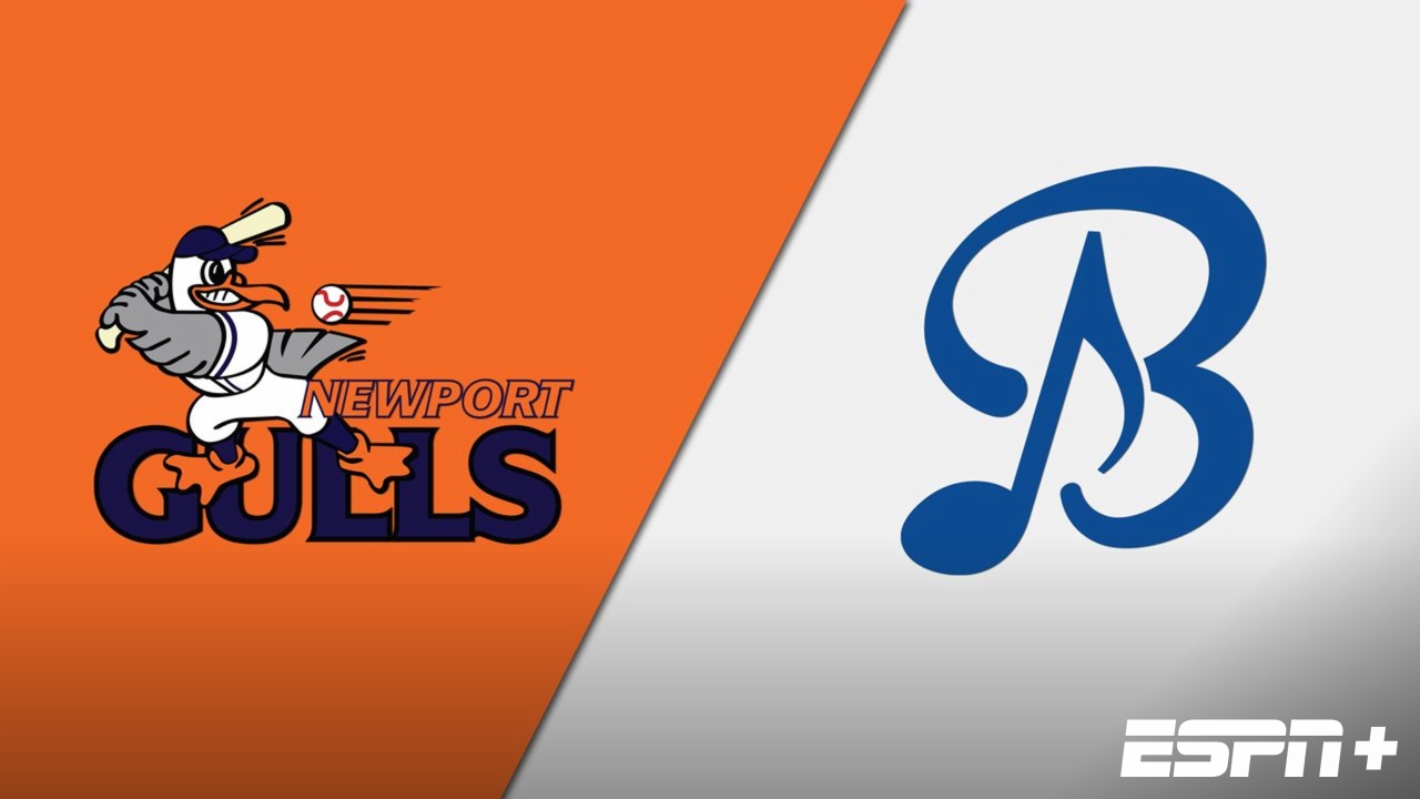 Newport Gulls vs. Bristol Blues