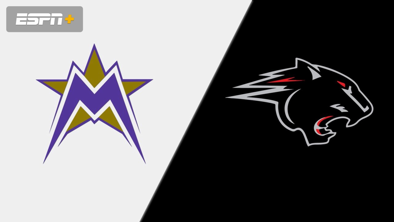 LeMoyne-Owen vs. Clark Atlanta (Quarterfinal #3)