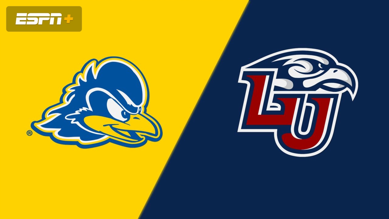 Delaware vs. Liberty