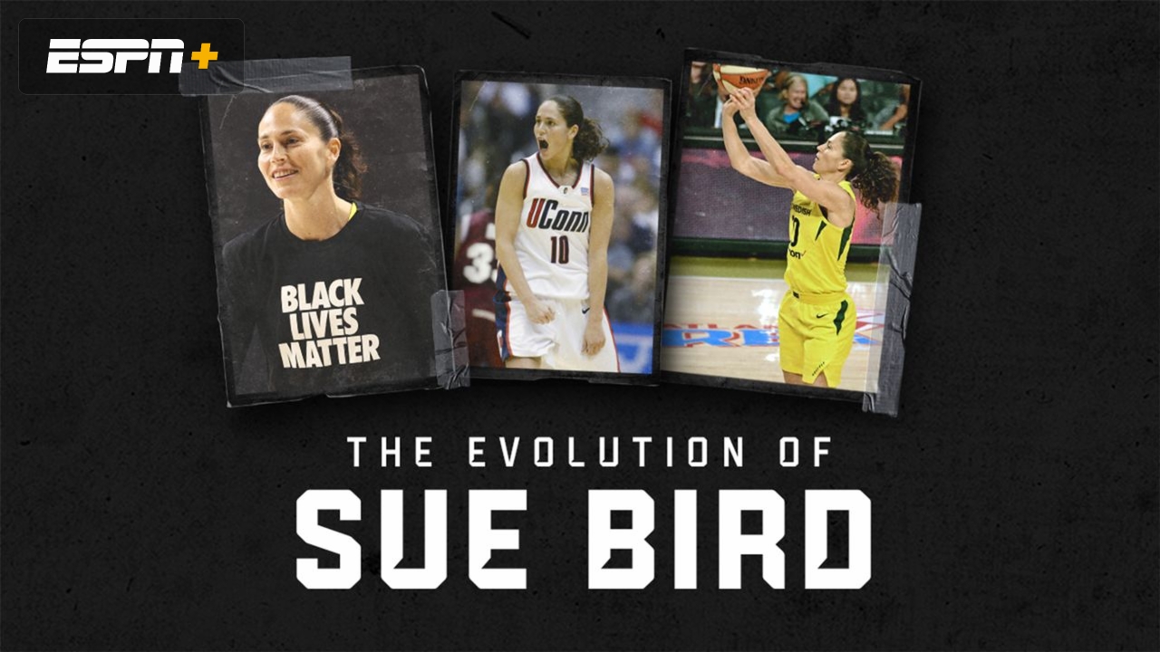 The Evolution of Sue Bird
