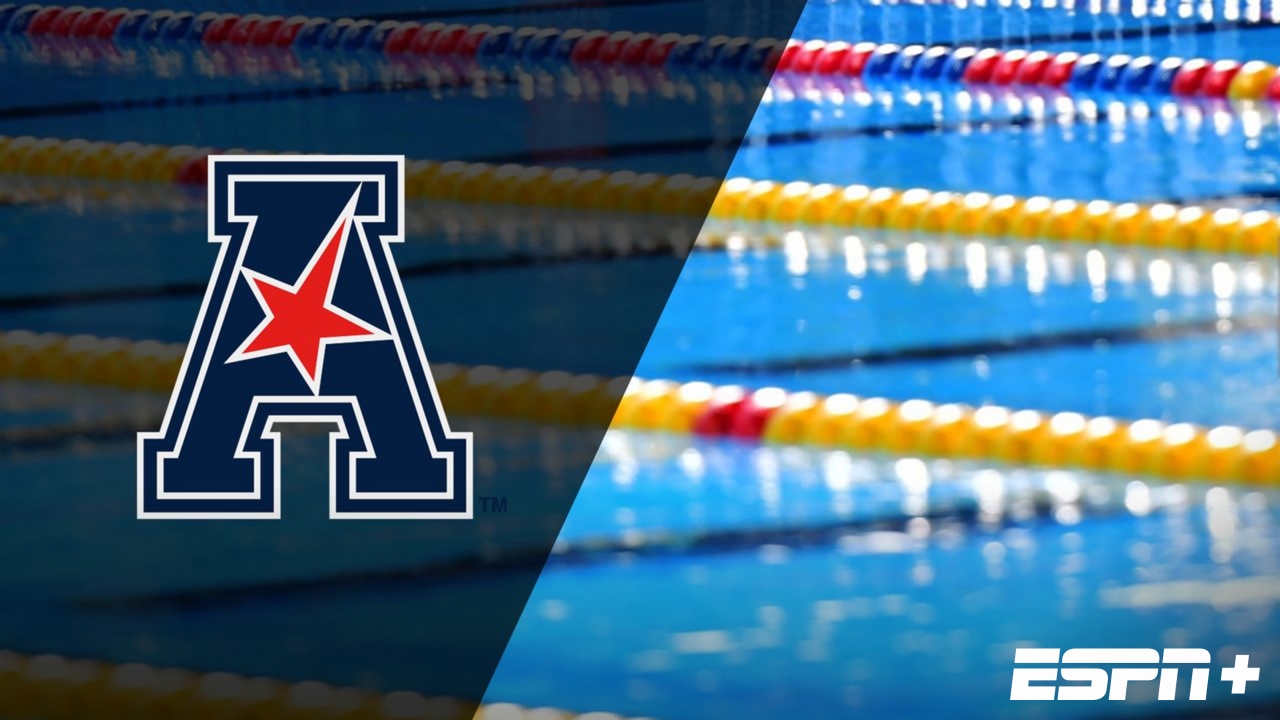 American Swimming & Diving Championships (Day Two Prelims)