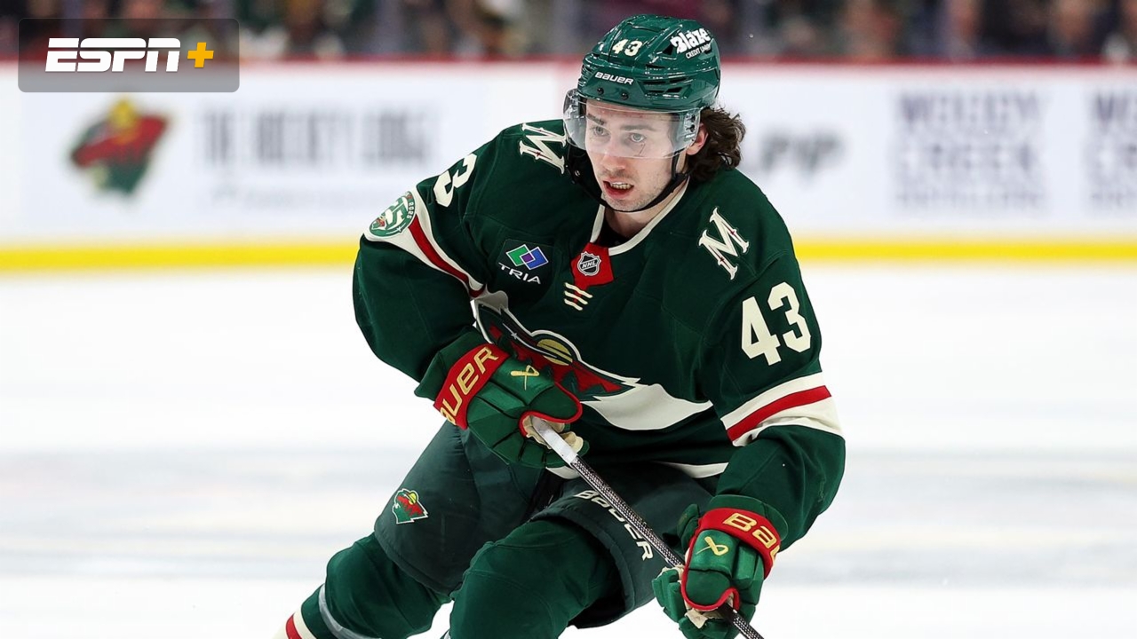 St. Louis Blues vs. Minnesota Wild