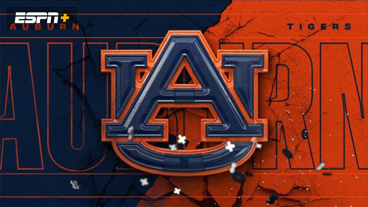 Auburn Football Spring Game