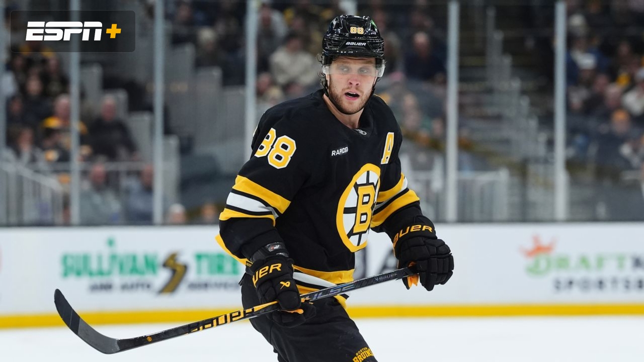 Boston Bruins vs. Minnesota Wild