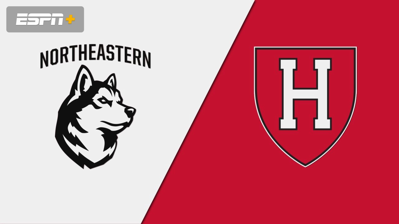 Northeastern vs. Harvard (All Courts)