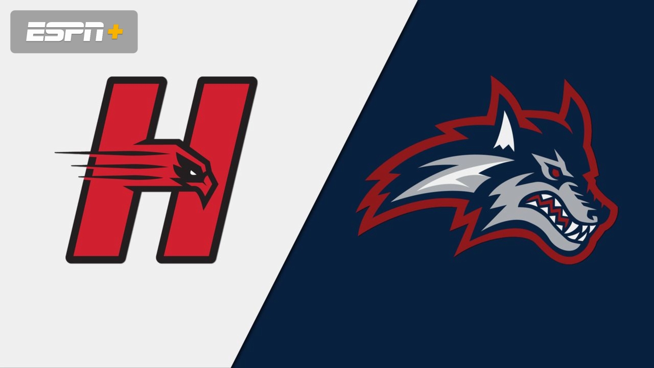 Hartford vs. Stony Brook (M Basketball)