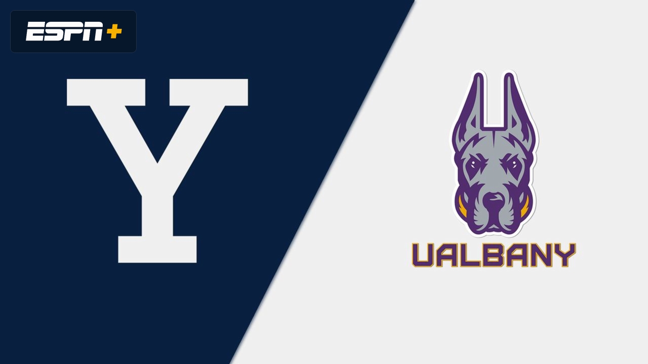 Yale vs. Albany