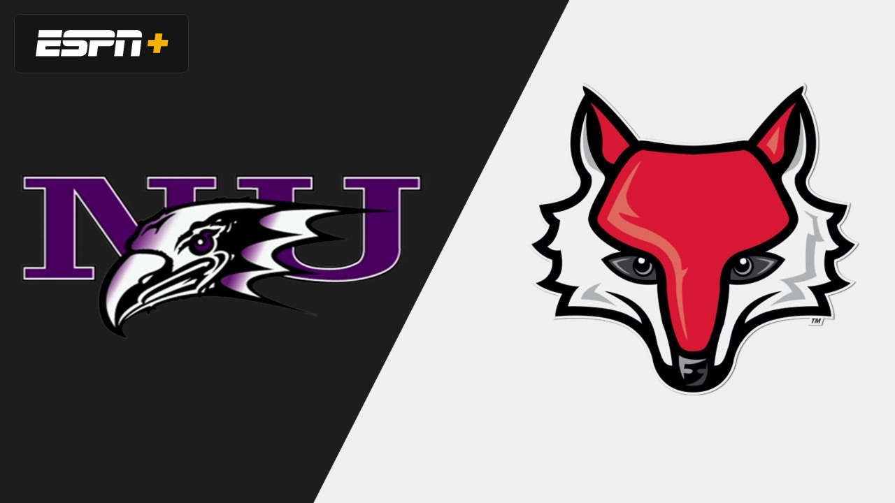 Niagara vs. Marist (Game 5) (MAAC Baseball Tournament) (Baseball)