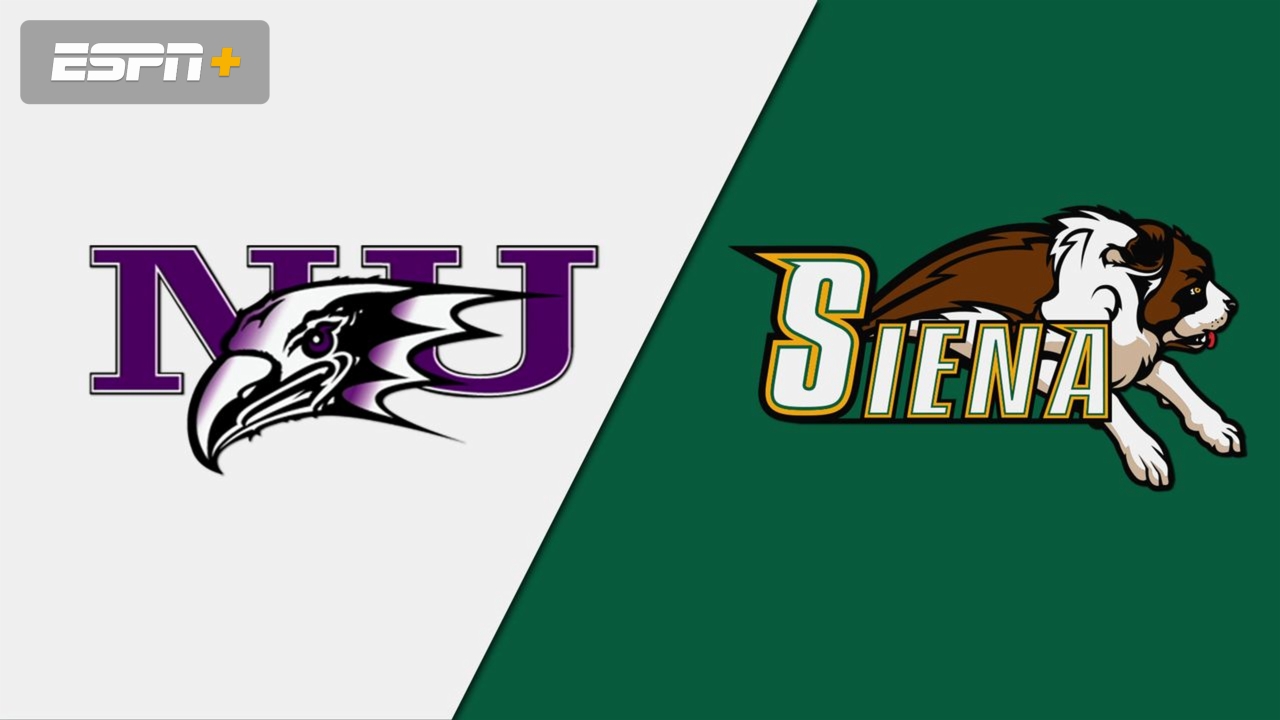 Niagara vs. Siena (Game #6) (MAAC Softball Championship)