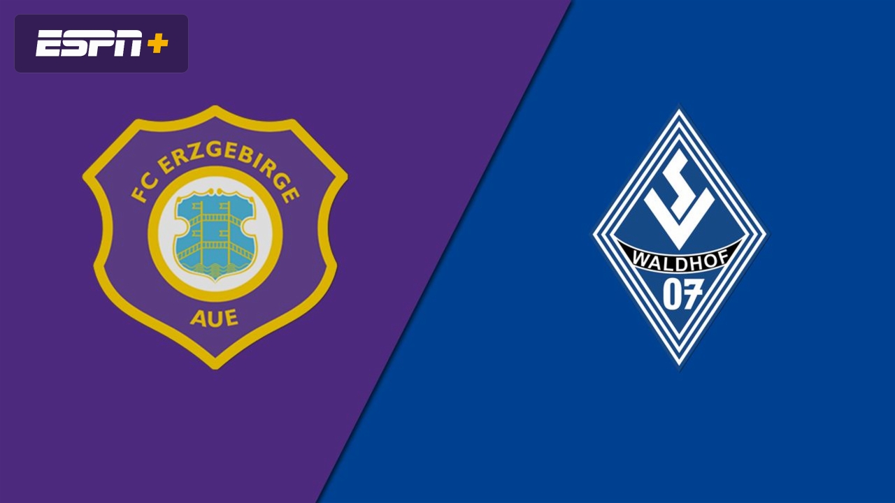 FC Erzgebirge Aue vs. SV Waldhof Mannheim