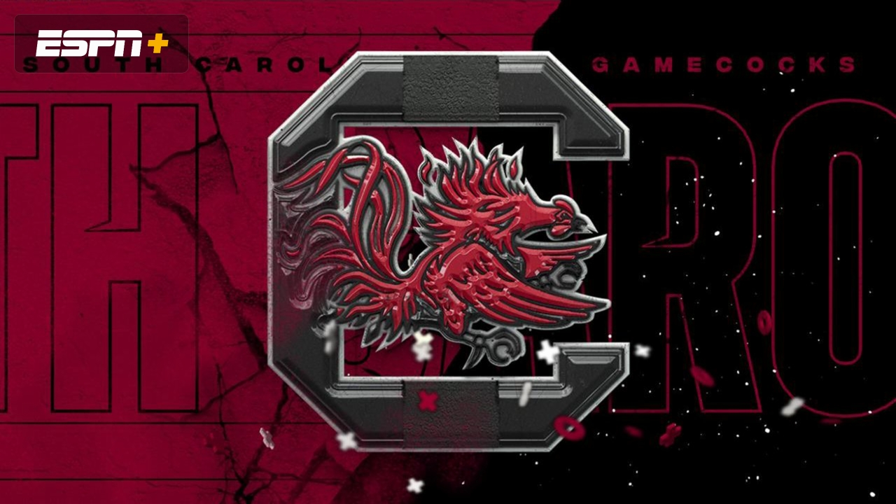 South Carolina Football Spring Game