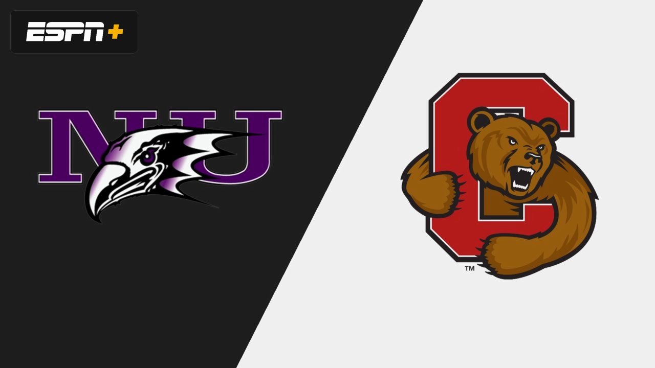 Niagara vs. Cornell (W Volleyball)