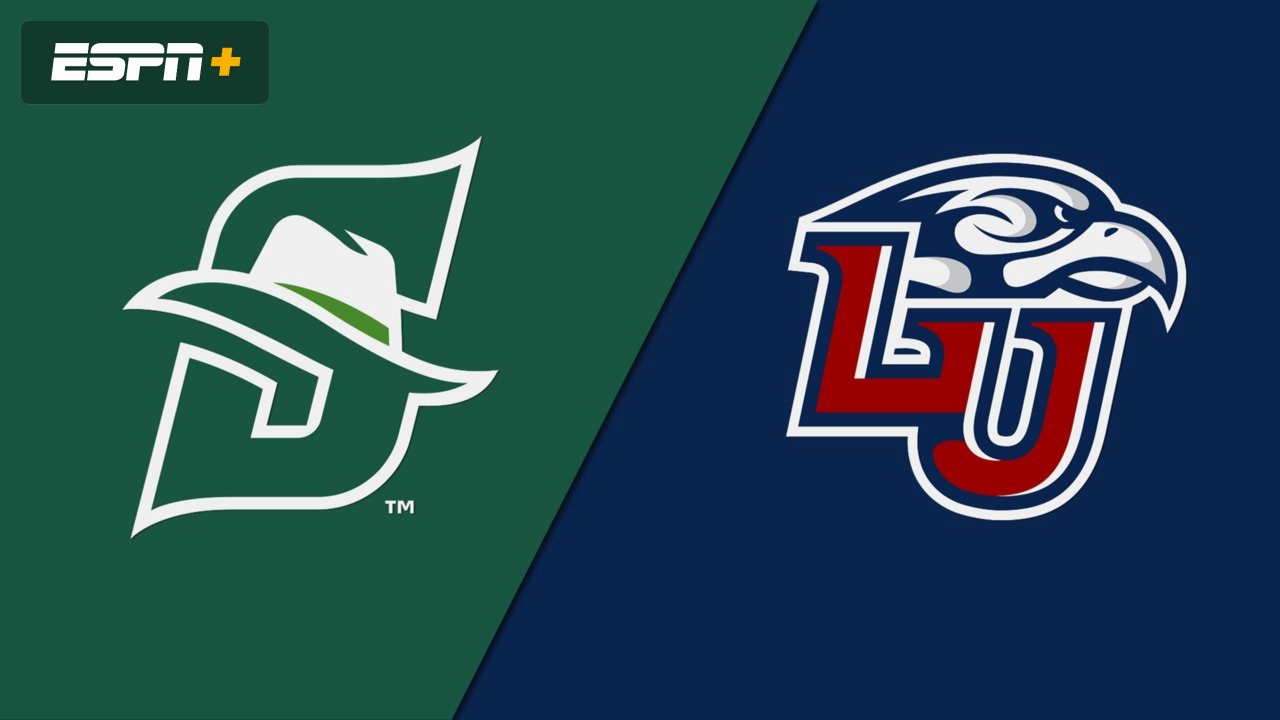 Stetson vs. Liberty (M Soccer)
