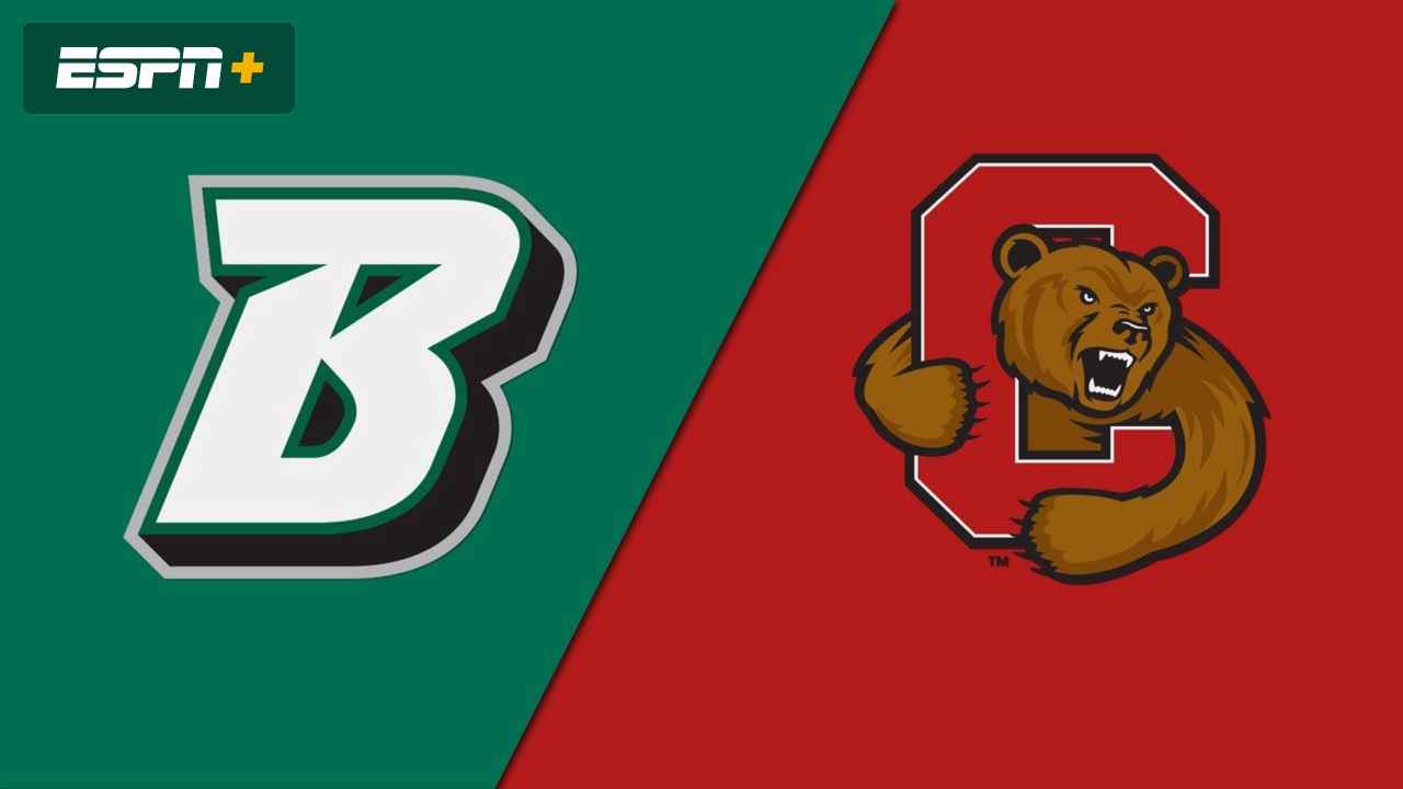 Binghamton vs. Cornell (W Soccer)