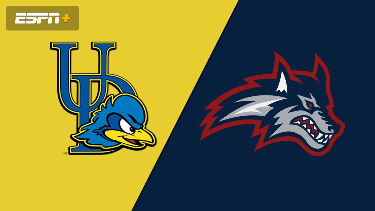Delaware vs. Stony Brook (M Basketball)