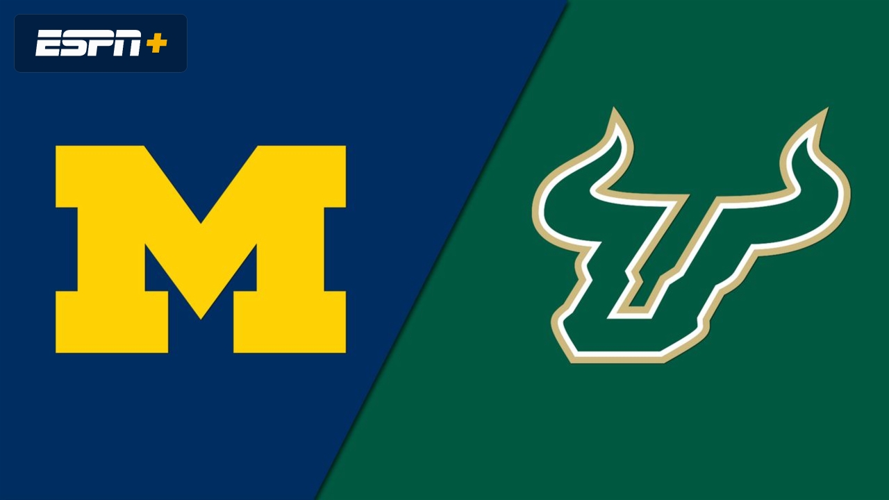 #13 Michigan vs. South Florida (Softball)