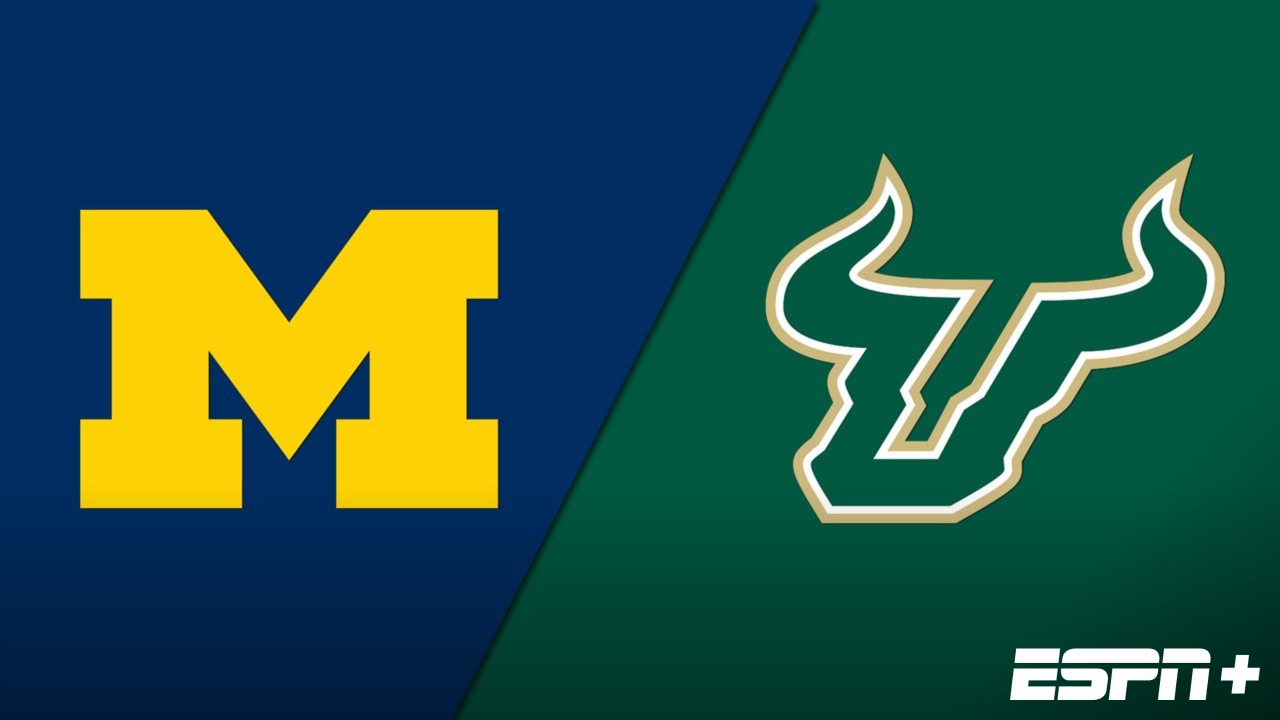 #13 Michigan vs. South Florida (Softball)